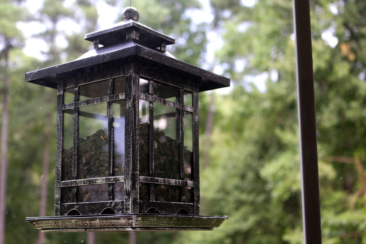 Crafting DIY Bird Feeders for Your Garden Decor